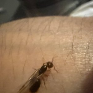 IMG_6680.jpeg