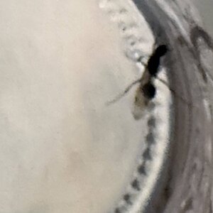 IMG_1717.jpeg