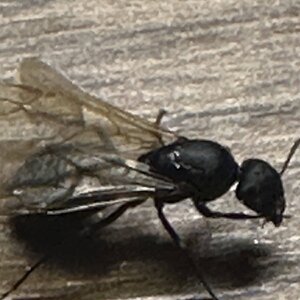 IMG_7775.jpeg