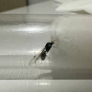 IMG_1530.jpeg