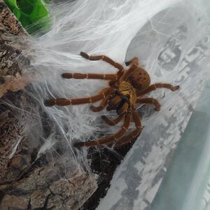 IMG_20260430_184446.jpg