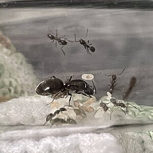 IMG_6448.jpeg