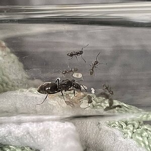 IMG_6444.jpeg
