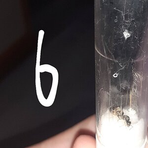 20220611_155245.jpg