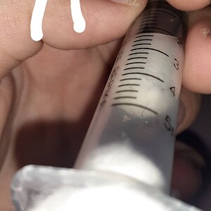 20220611_161958.jpg