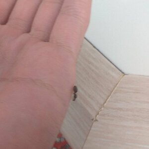 20220622_142450.jpg