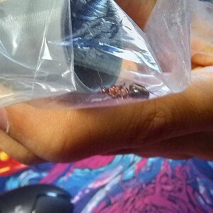 20220717_142220.jpg