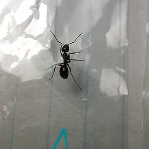 20220719_114420.jpg