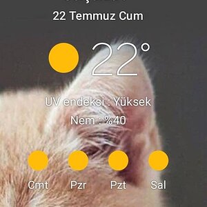 SmartSelect_20220722-102330_One UI Home.jpg
