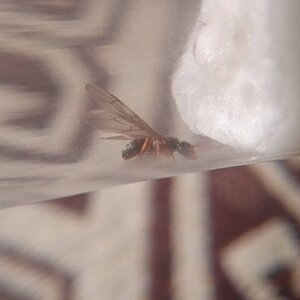 IMG_20220728_075929_1.jpg