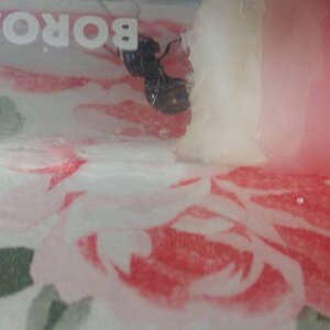 20221004_140148.jpg