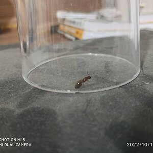 IMG-20221016-WA0006.jpg