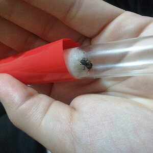 IMG-20221020-WA0019.jpeg
