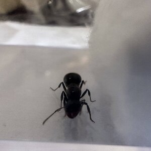 IMG_7459.jpeg