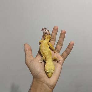 2AB27B72-0968-4656-A700-1BA42C4614D5.jpeg