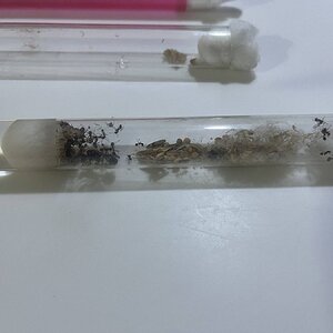 IMG_1143.jpeg
