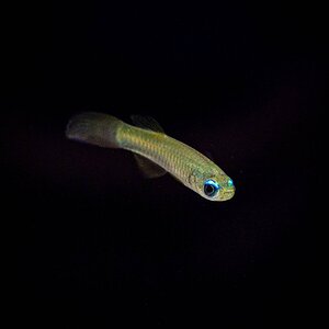 IMG_4148.jpg