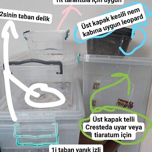 FB_IMG_1694862119090.jpg