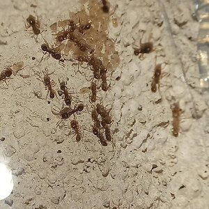 20231119_170803.jpg