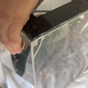 IMG_8252.jpeg