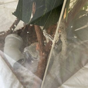 IMG_8254.jpeg