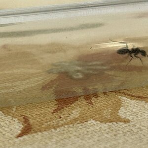 IMG_1570.jpeg