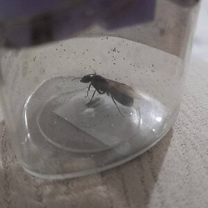 20240725_214449 (1).jpg