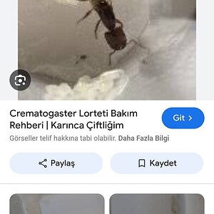Screenshot_2024-08-02-12-21-29-56_680d03679600f7af0b4c700c6b270fe7.jpg