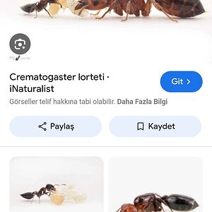 Screenshot_2024-08-02-12-19-32-04_680d03679600f7af0b4c700c6b270fe7.jpg