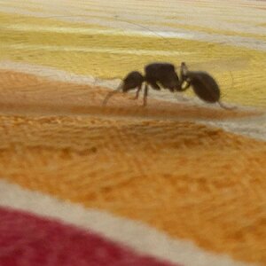 IMG_1758.jpeg