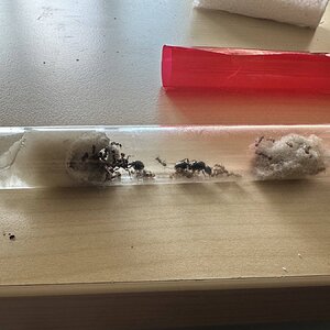 IMG_1682.jpeg