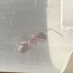 IMG_0179.jpeg