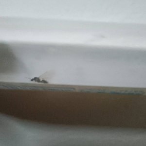 IMG_20240818_205304.jpg