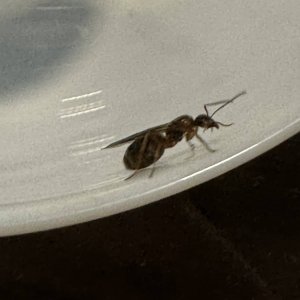 IMG_0625.jpeg