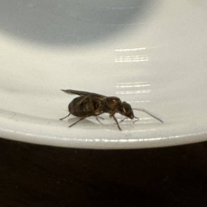 IMG_0622.jpeg
