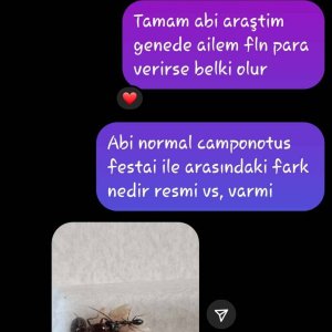 Screenshot_20240828-184050_Instagram.jpg