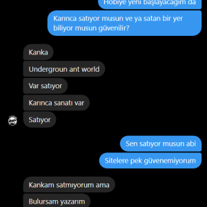Ekran_goruntusu_2024-08-29_151900.png