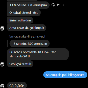 Ekran_goruntusu_2024-08-29_153053.png