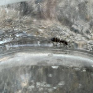 IMG_2021.jpeg