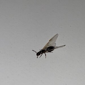 IMG_0234.jpeg