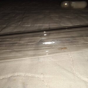 20241015_190235.jpg