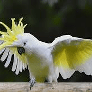 1729110841394.png