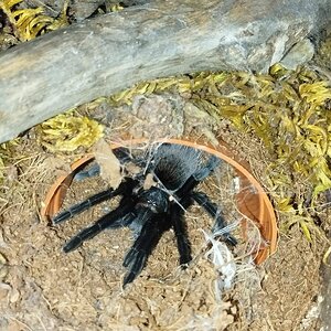 IMG-20241114-WA0007.jpg