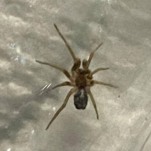 IMG_6858.jpeg