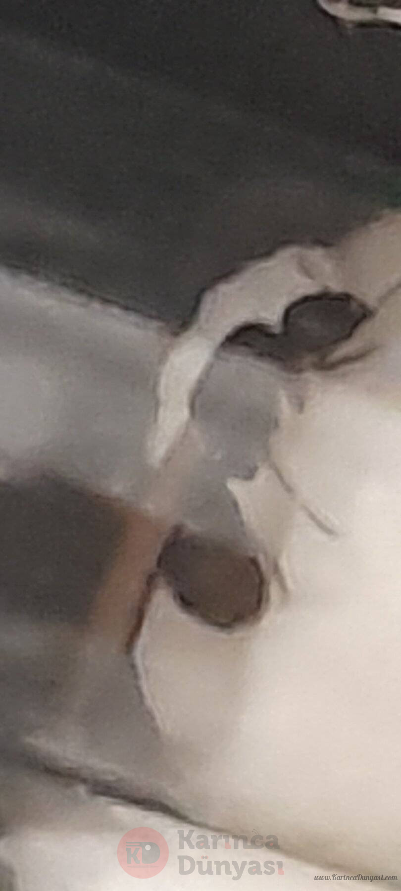 20220415_183325.jpg