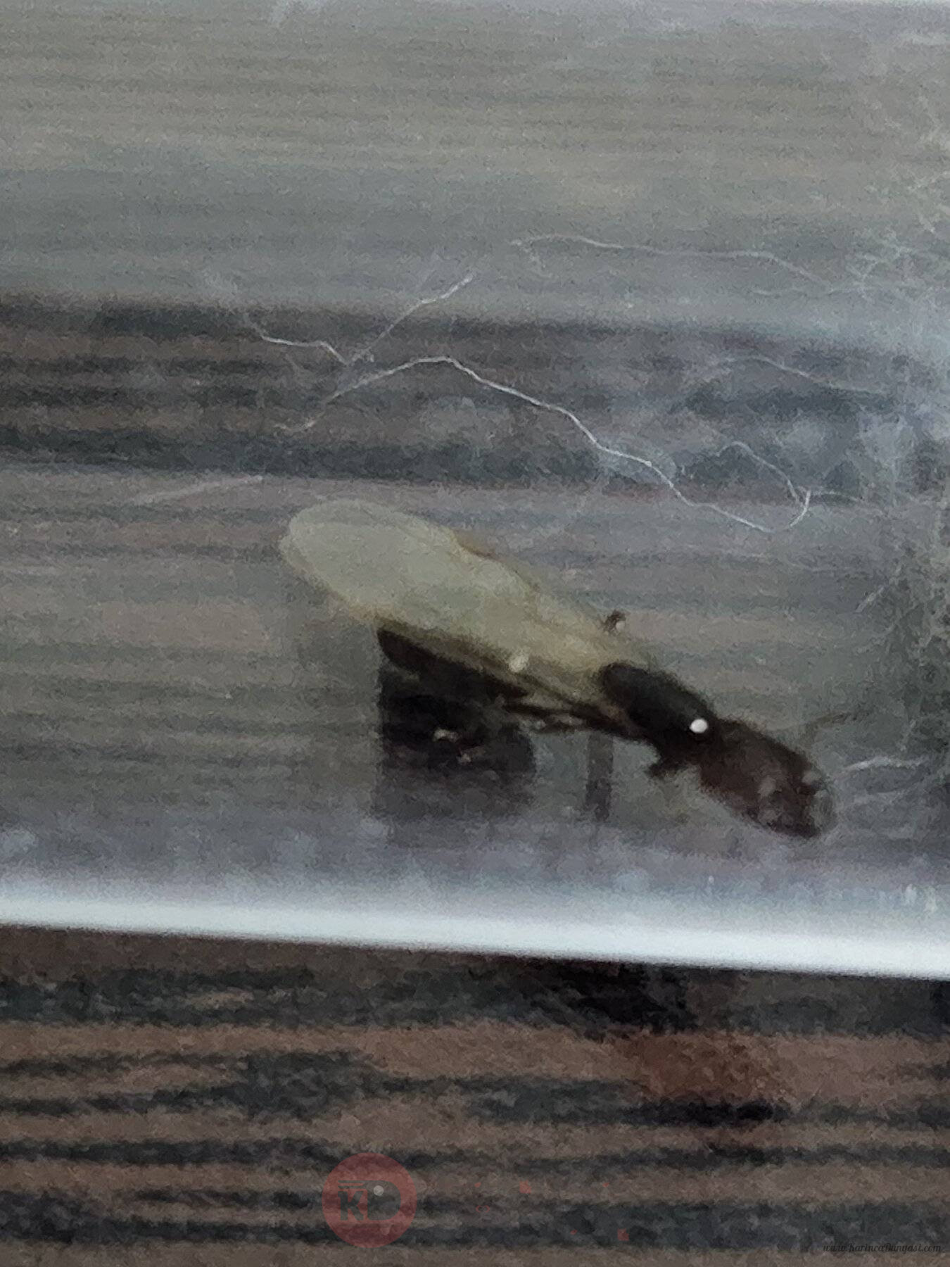 20220624_011734.jpg