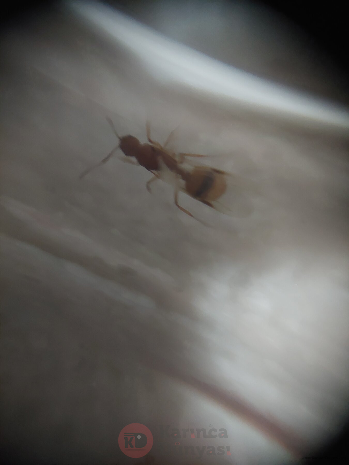 20220703_212821.jpg