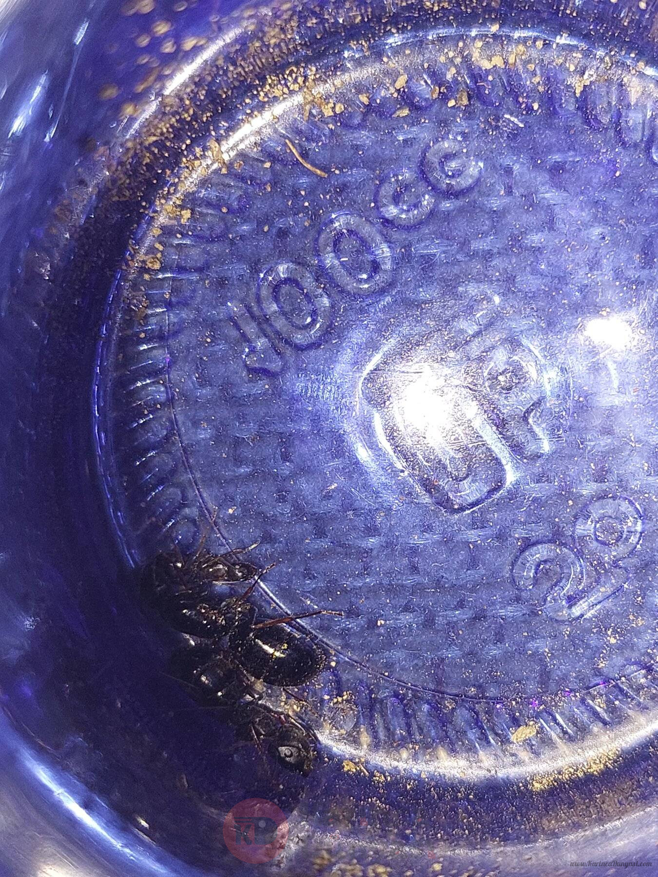 20240727_203658.jpg