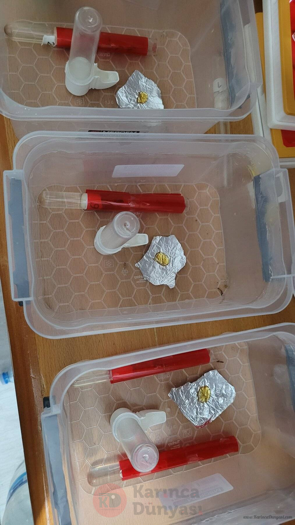 20241011_033921.jpg