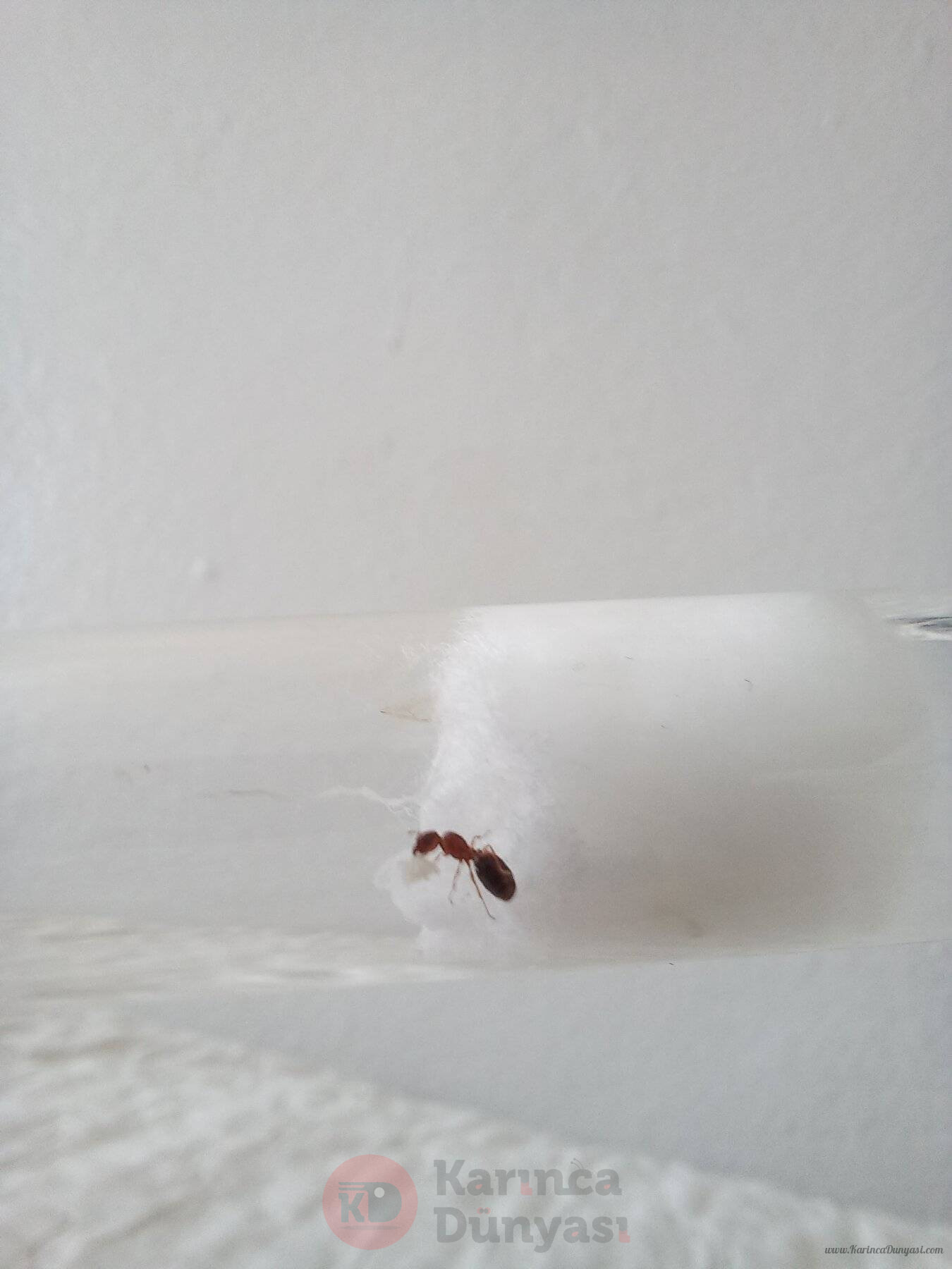 20241020_125949.jpg